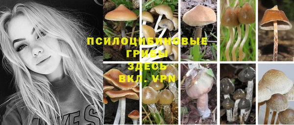 дистиллят марихуана Богородицк