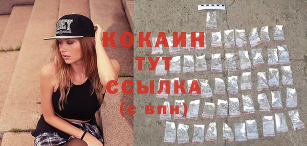 тгк Богданович