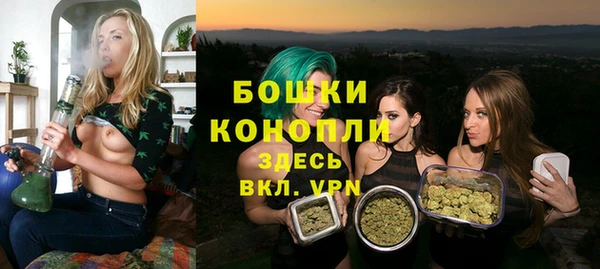 тгк Богданович