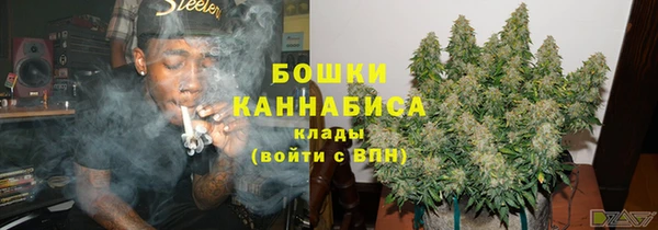 тгк Богданович
