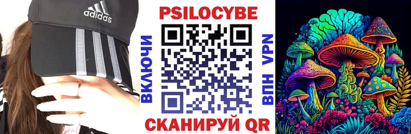 что такое   Моздок  Галлюциногенные грибы мицелий 